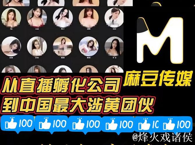 探索麻豆剧果冻传媒精品网站的精彩内容与魅力