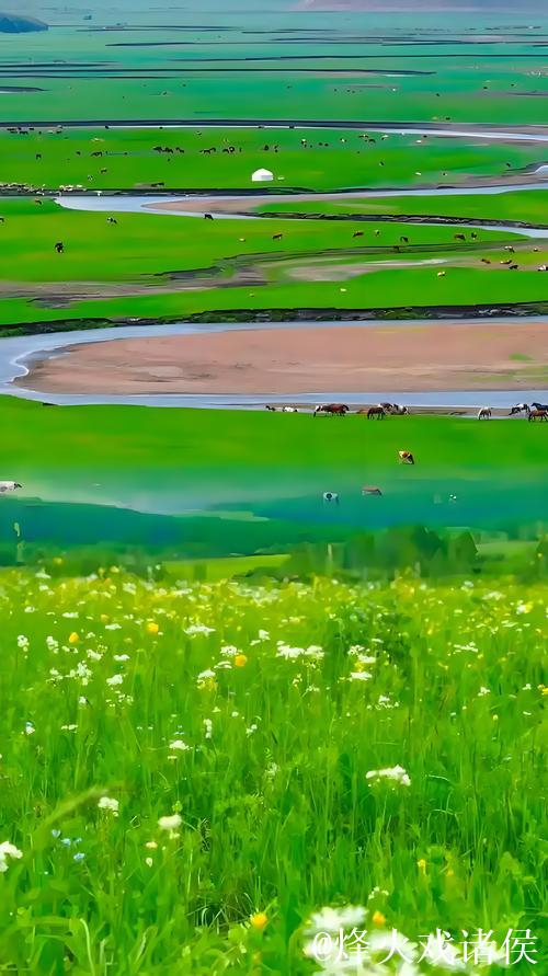 畅游青青草原网：寻觅自然之美