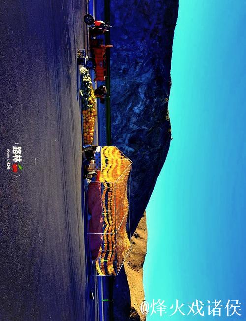 51吃瓜趣闻大合集